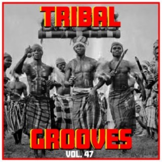 Tribal Grooves, Vol. 47
