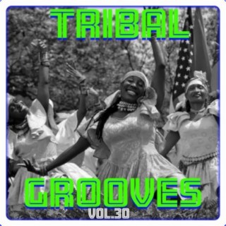 Tribal Grooves, Vol. 30