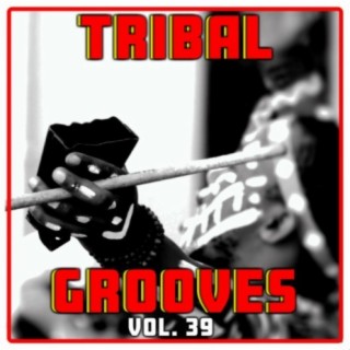 Tribal Grooves, Vol. 39