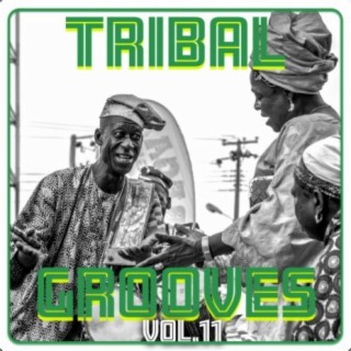 Tribal Grooves, Vol. 11