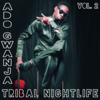 Tribal Nightlife, Vol. 2