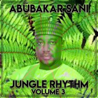 Jungle Rhythm, Vol. 3