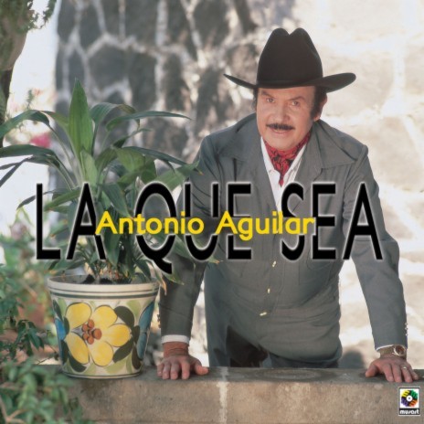 Aunque Llegues A Odiarme | Boomplay Music