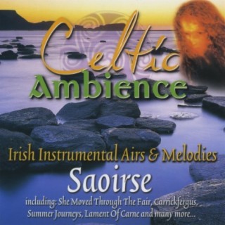 Celtic Ambience: Irish Instrumental Airs & Melodies