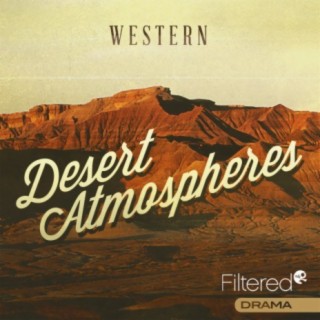 Desert Atmospheres