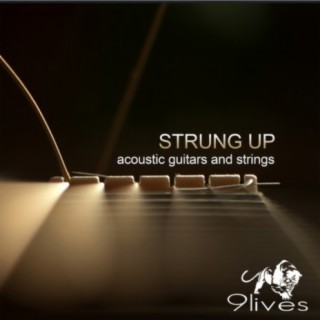 Strung Up: Acoustic Guitars and Strings