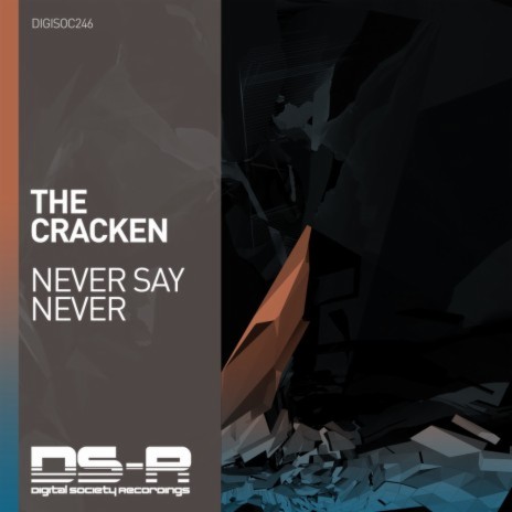 Never Say Never (Original Mix)