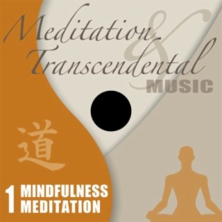 Mindfulness Meditation