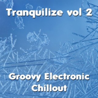 Tranquilize, Vol. 2: Groovy Electronic Chillout