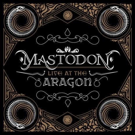 Divinations (Live at the Aragon) | Boomplay Music