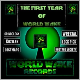The First Year of World Wake