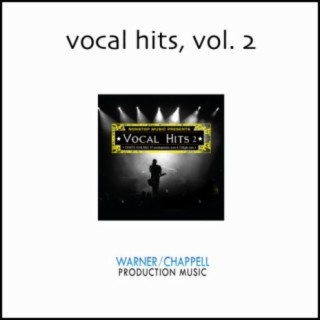 Vocal Hits, Vol. 2: Top 40 Pop Teen Rock