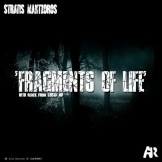 Fragments Of Life