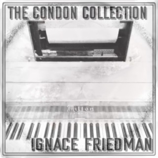 The Condon Collection: Ignace Friedman