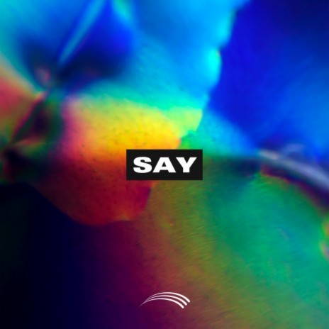 Say | Boomplay Music