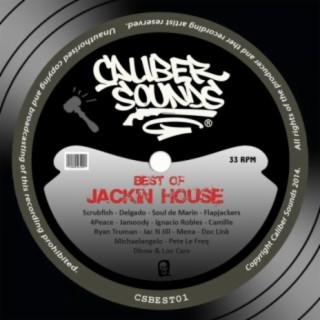 Caliber Sounds Best Of Jackin House