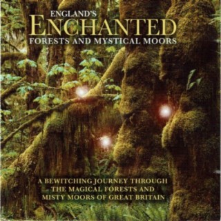 England's Enchanted Forests and Mystical Moors