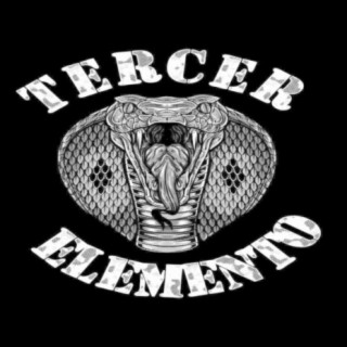 Tercer Elemento