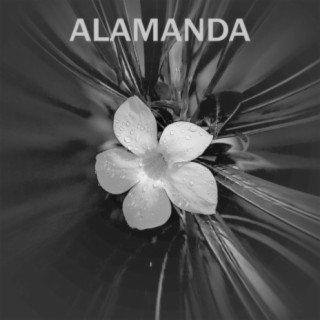 Alamanda