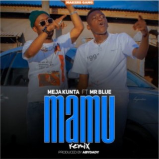 Mamu (Remix) ft. Mr. Blue lyrics | Boomplay Music