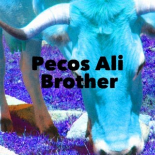 Pecos Ali