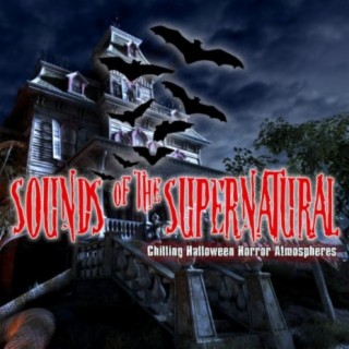 Sounds of the Supernatural: Chilling Halloween Horror Atmospheres