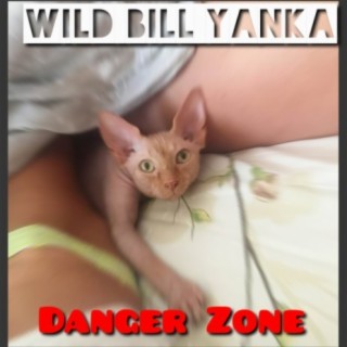 Danger Zone