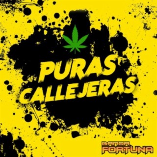 Puras Callejeras (En Vivo)