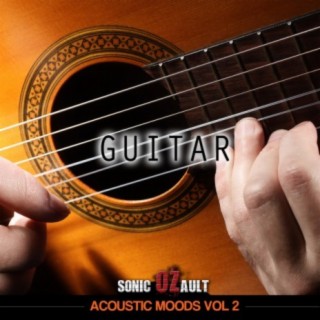 Acoustic Moods, Vol. 2: Guitar