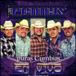 Puras Cumbias En Vivo