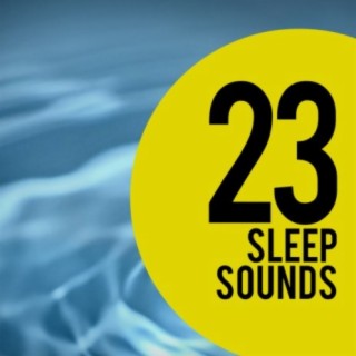 23 Sleep Sounds
