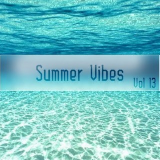 Summer Vibes Vol, 13