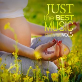 Just the Best Music, Vol. 5: Music For Pregnant Mothers