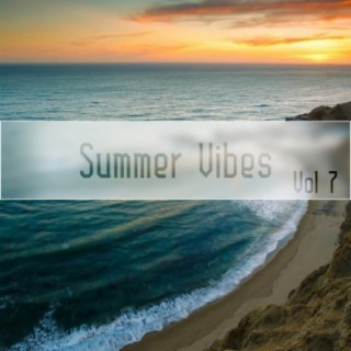 Summer Vibes Vol, 7