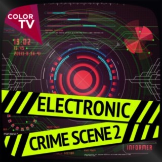 Electronic Crime Scene, Vol. 2