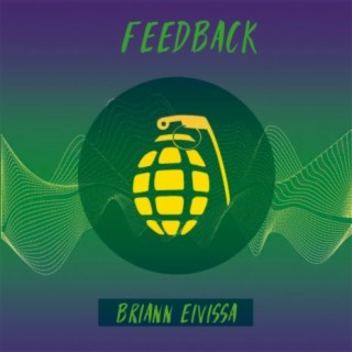 FeedBack