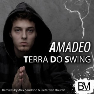 Terra Do Swing