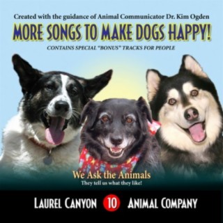 More Songs To Make Dogs Happy
