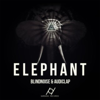 BlindNoise