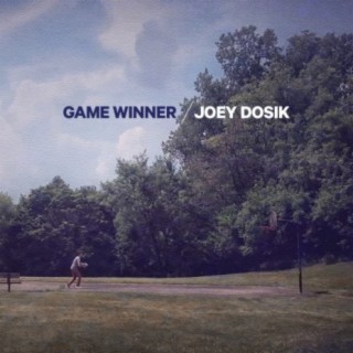 Joey Dosik