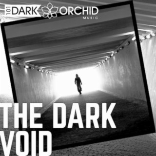 The Dark Void