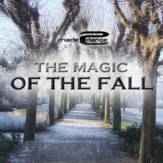 The Magic Of The Fall