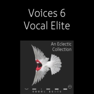 Voices 6: Vocal Elite
