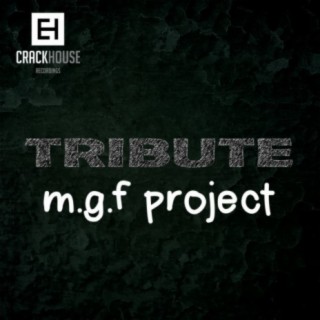 M.G.F Project