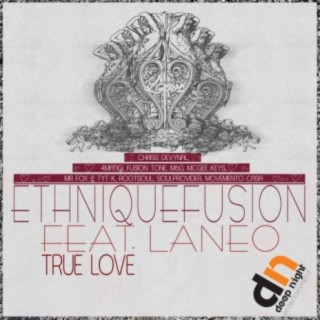 EthniqueFusion