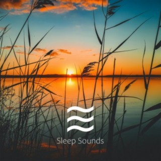 Sleep Baby Sound