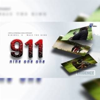 Nine One One (911)