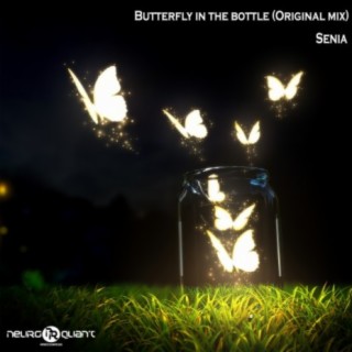 Butterfly In The Bottle