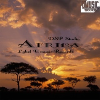 DSP Studio