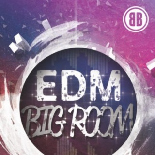 EDM Big Room